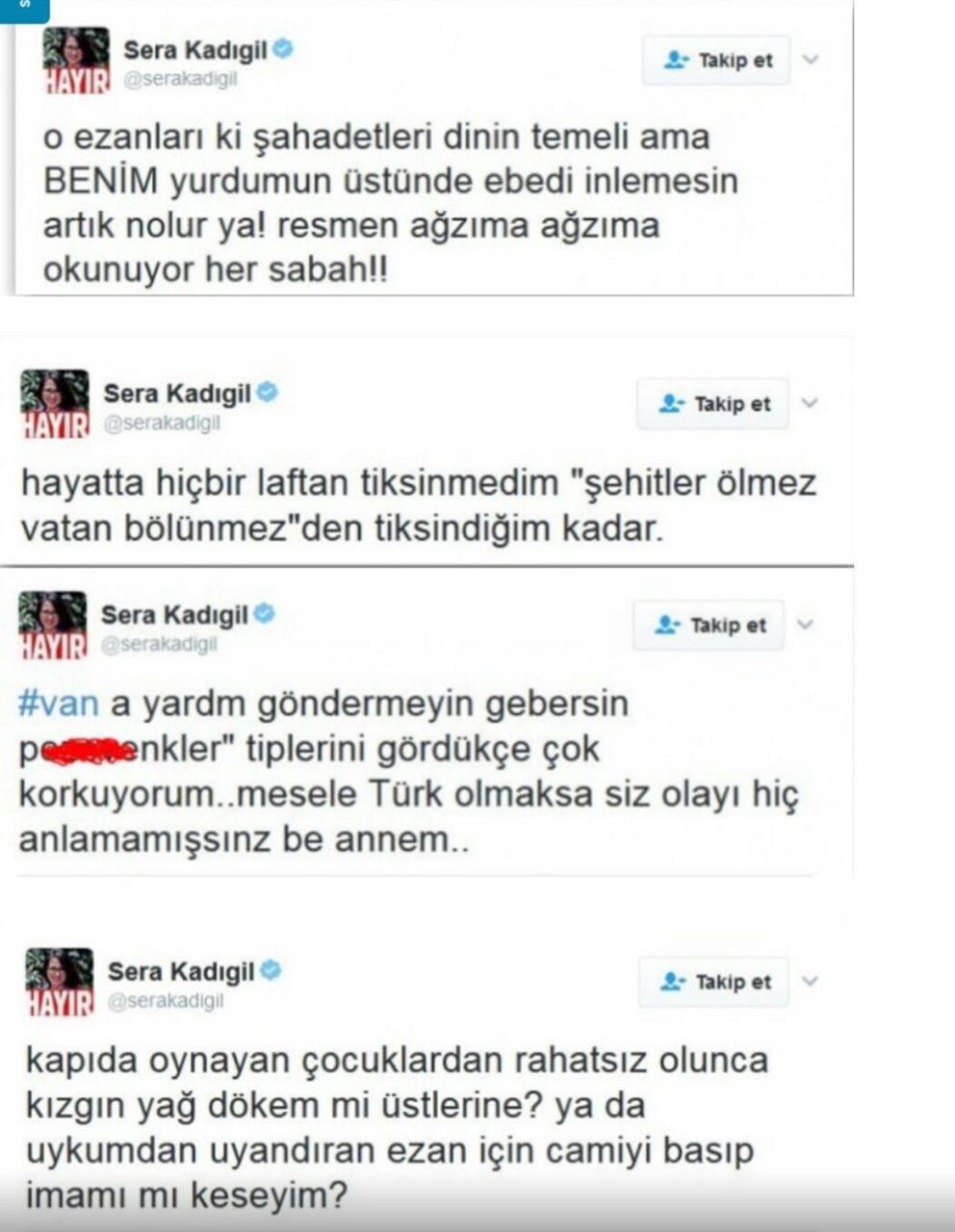 CHP PM üyesi Sera Kadıgil'den skandal paylaşımlar