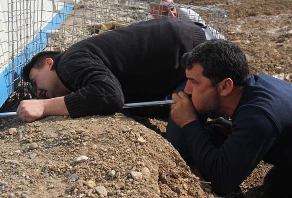 Nesli tükenmekte olan saz kedisini kurtarma operasyonu