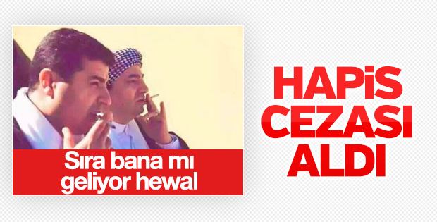 AB HDP'li vekiller için endişeli