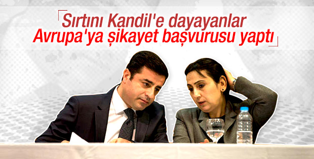 AB HDP'li vekiller için endişeli