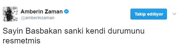 Amberin Zaman evet diyen seçmene koyun dedi