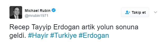 Amerikalı analistin Erdoğan tweet'ine müthiş cevaplar