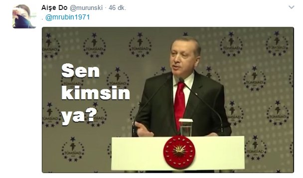 Amerikalı analistin Erdoğan tweet'ine müthiş cevaplar