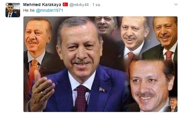 Amerikalı analistin Erdoğan tweet'ine müthiş cevaplar