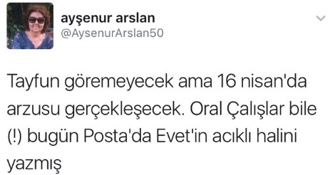 Ayşenur Arslan Talipoğlu'nun ardından referandumu andı