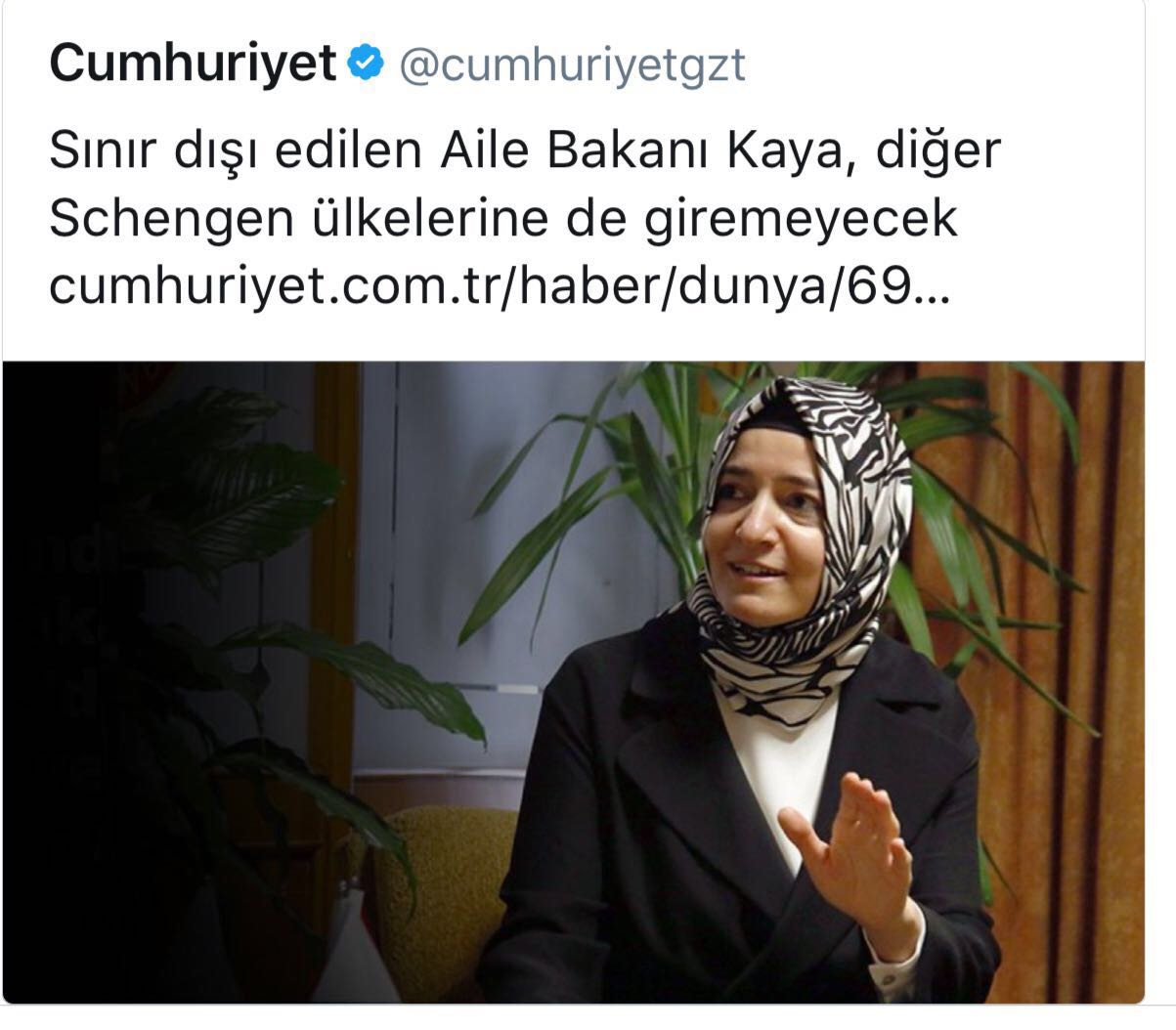 Bakan Kaya'ya Schengen yasağı Cumhuriyeti sevindirdi