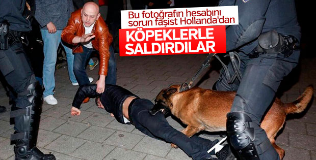 Hollanda polisi açıklama yaptı: 7 yaralı var