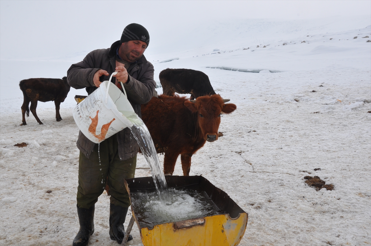 Muş'ta hayvanların su ihtiyacı buzu kırarak karşılanıyor
