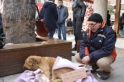 Sokak hayvanlarına soğukta battaniyeli önlem