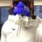 Demba Ba’dan geri dönüyorum mesajı
