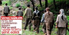 PKK FETÖ’nün istihbaratıyla 52 MİT ajanını infaz etti