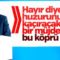 Cumhurbaşkanı: Çanakkale Köprüsü dünyanın bir numarası