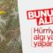 Hürriyet’ten asker karikatürü: Lütfen rahatsız etmeyiniz