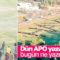 ODTÜ’de ‘hayır’ propagandası