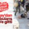 Ambulanslar Hatay’dan İdlib için yola çıktı