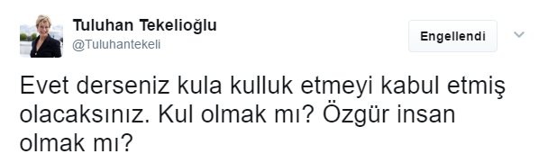 Tuluhan Tekelioğlu 'evet' diyenlere hakaret etti